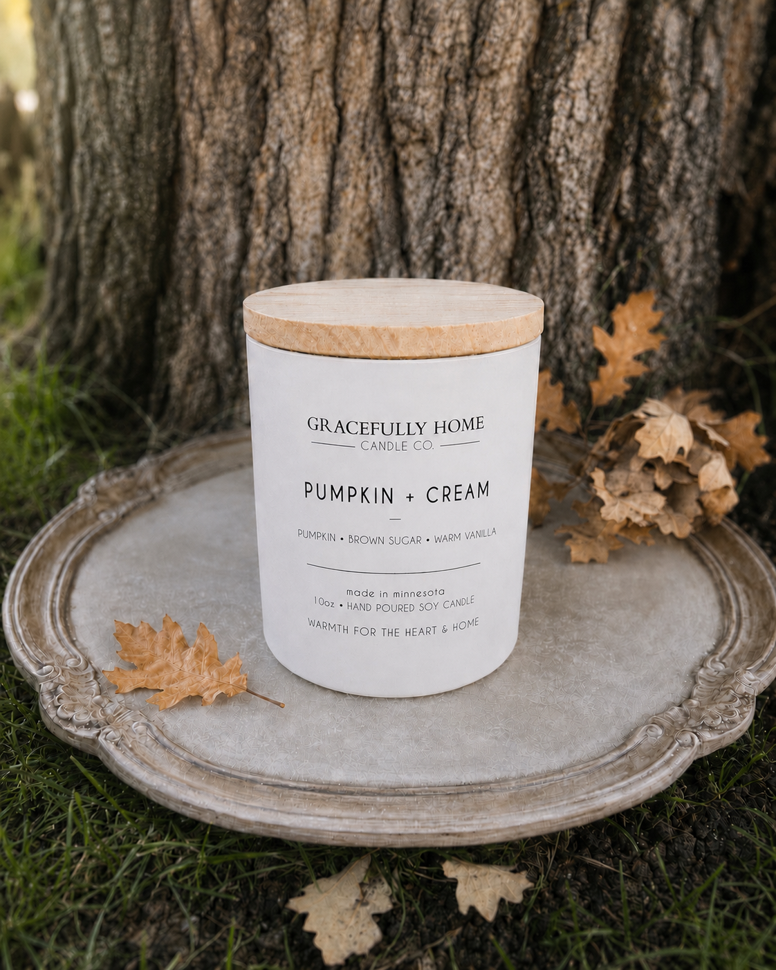 Pumpkin + Cream